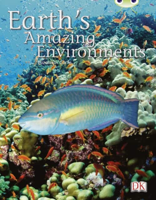Bug Club Independent Non-Fiction Year Two White A - Earth's Amazing Environments av Elizabeth Corfe