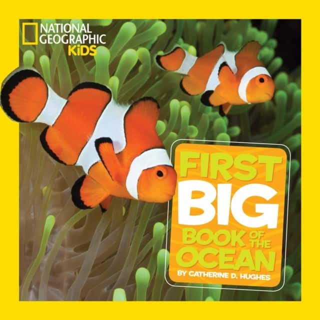 Little Kids First Big Book of The Ocean av Catherine D. Hughes