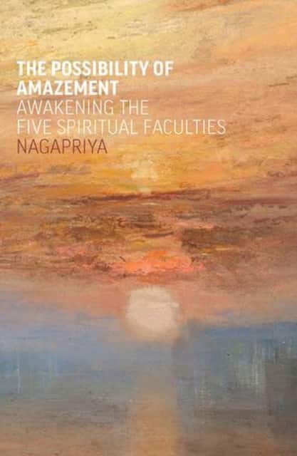 The Possibility of Amazement av Nagapriya