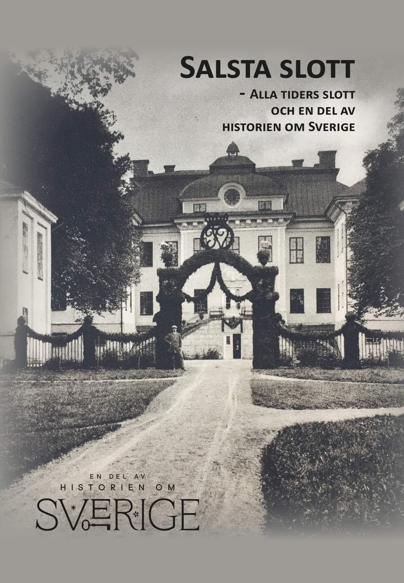 Salsta slott - Alla tiders slott och en del av historien om Sverige av Niclas Malmberg