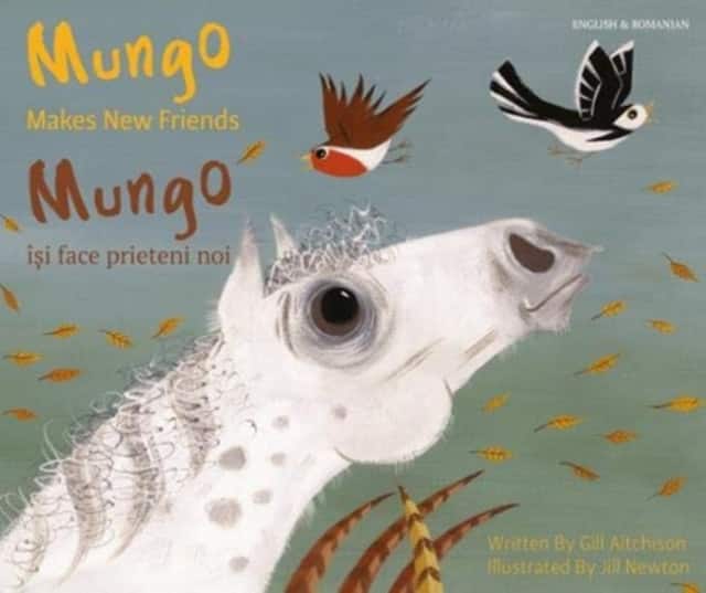 Mungo Makes New Friends Romanian/English av Gill Aitchison