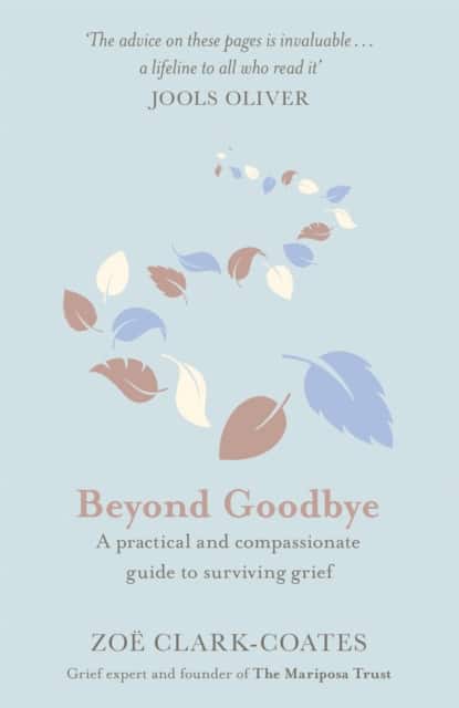 Beyond Goodbye av Zoë Clark-Coates