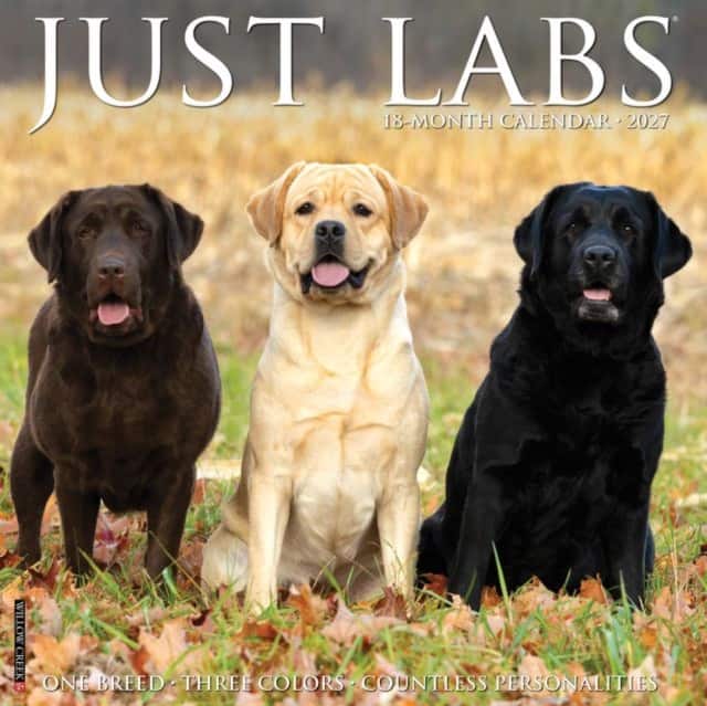 Labs 2027 Wall av Willow Creek Press