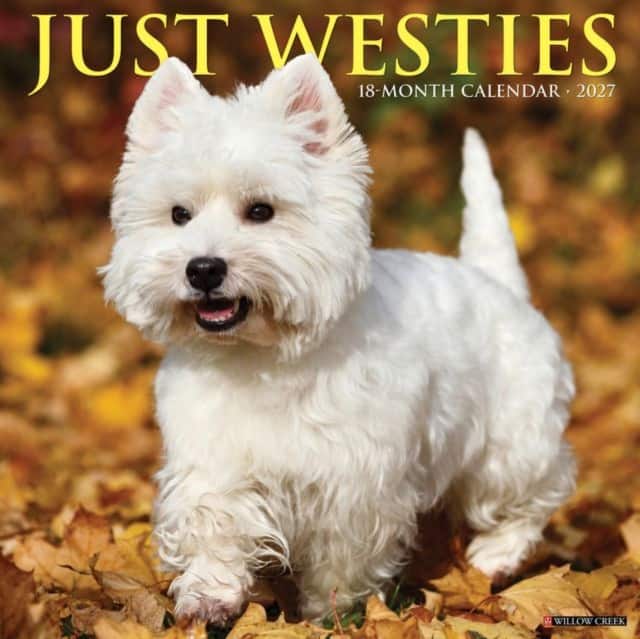 Westies 2027 Wall av Willow Creek Press