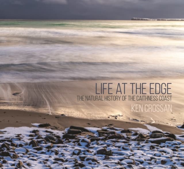 Life at the Edge