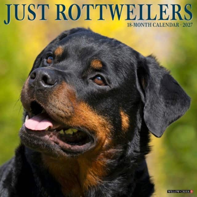 Rottweilers 2027 Wall av Willow Creek Press