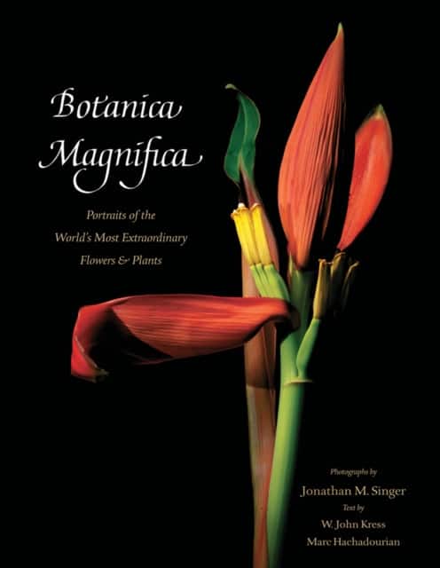 Botanica Magnifica: Portraits of the World's Most Extraordinary Flowers and Plants av Jonathan Singer