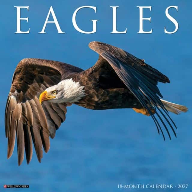 Eagles 2027 Wall av Willow Creek Press