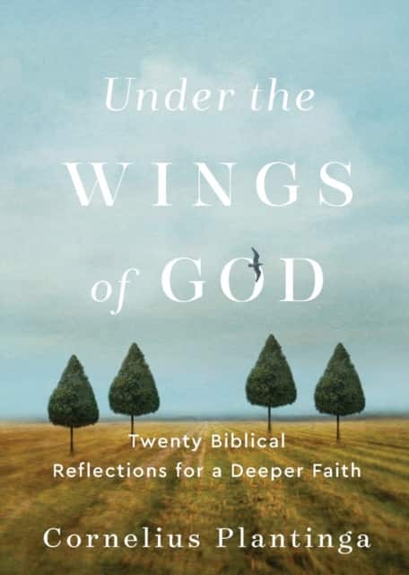 Under the Wings of God av Cornelius Plantinga