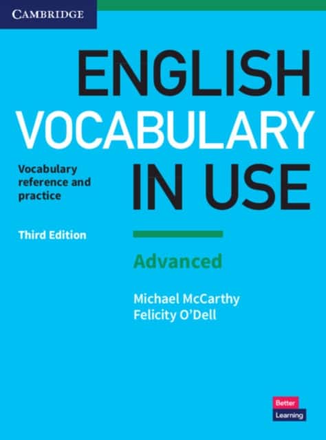 English Vocabulary in Use av Felicity O'Dell