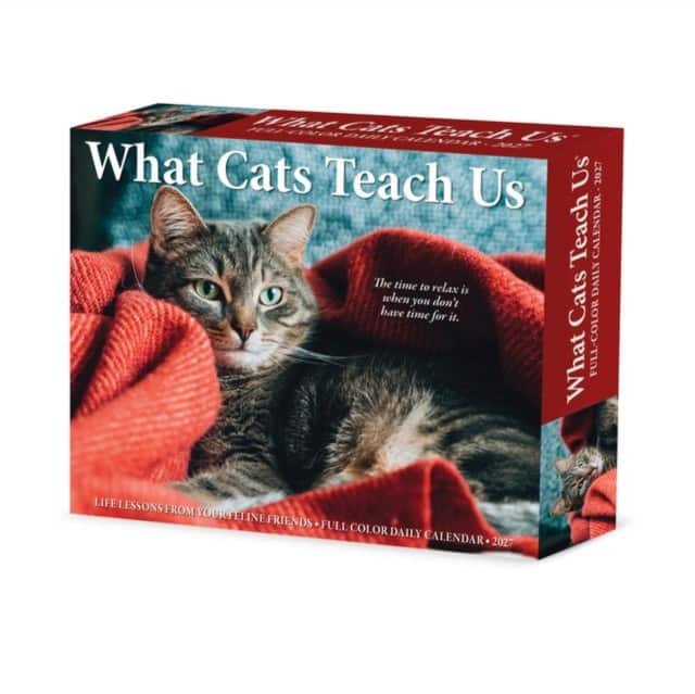 What Cats Teach Us 2027 Box av Willow Creek Press