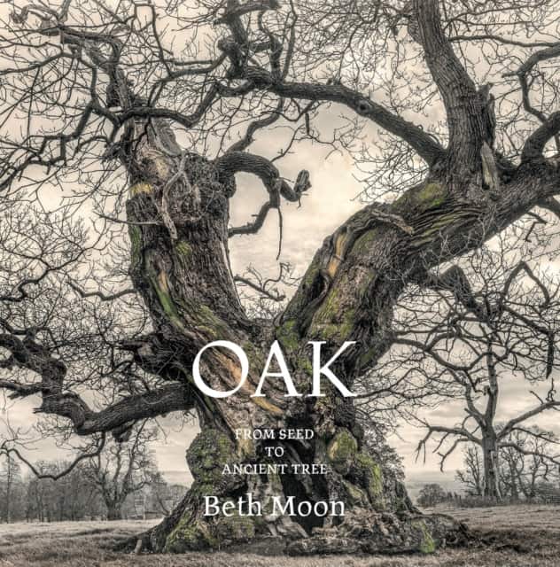 Oak av Beth Moon