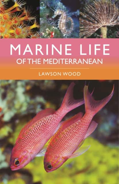 Marine Life of the Mediterranean av Lawson Wood