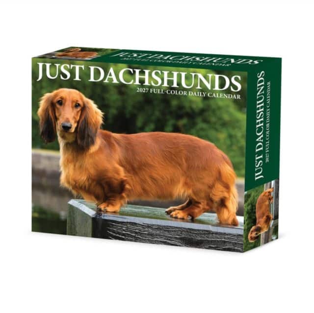 Dachshunds 2027 Box av Willow Creek Press