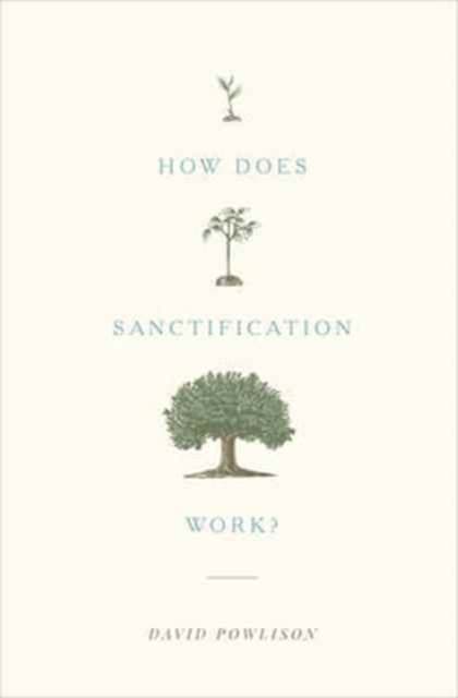 How Does Sanctification Work?