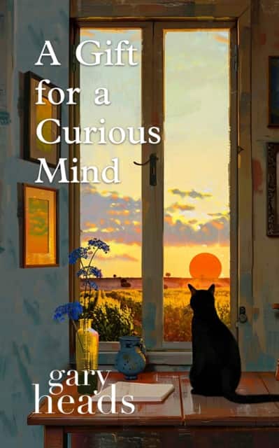 A Gift for a Curious Mind av Gary Heads