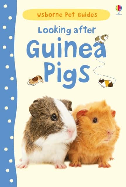 Looking after Guinea Pigs av Laura Howell