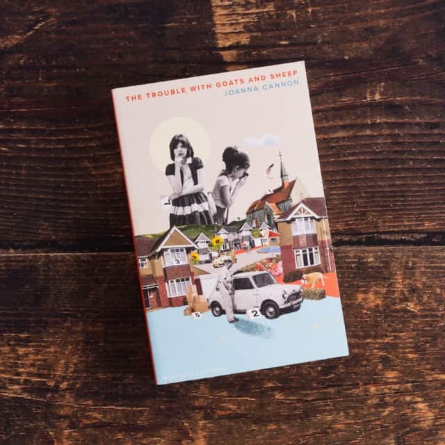 The Trouble with Goats and Sheep av Joanna Cannon