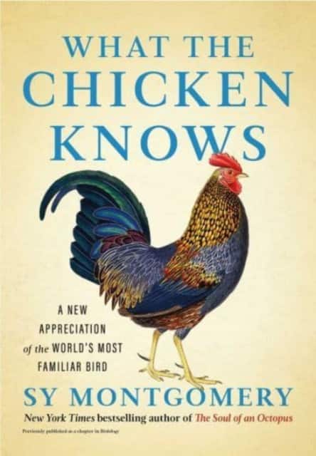 What the Chicken Knows av Sy Montgomery