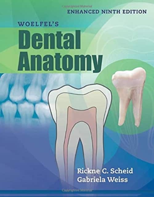 Woelfel's Dental Anatomy, Enhanced Edition av Rickne C. Scheid