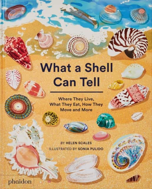 What A Shell Can Tell av Helen Scales