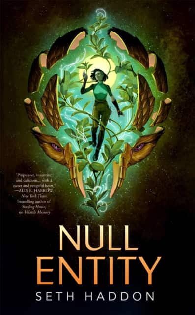 Null Entity av Seth Haddon