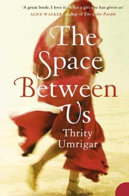The Space Between Us av Thrity Umrigar