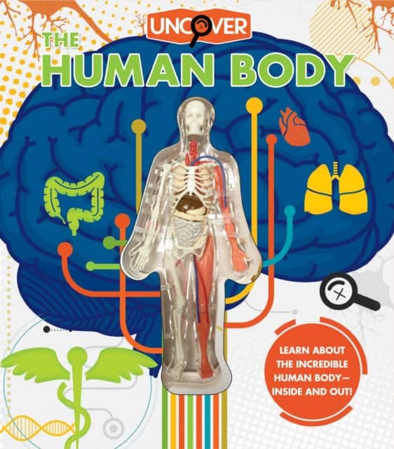 Uncover the Human Body av Luann Colombo