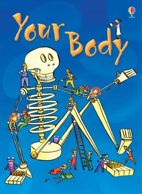 Your Body av Stephanie Turnbull