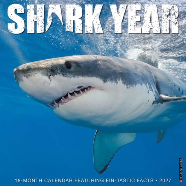 Shark Year 2027 Wall av Willow Creek Press