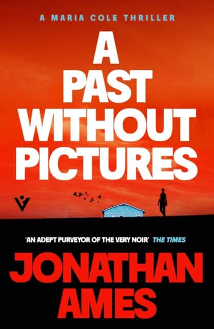 A Past Without Pictures av Jonathan Ames