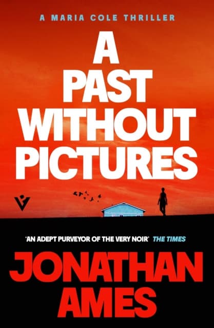 A Past Without Pictures