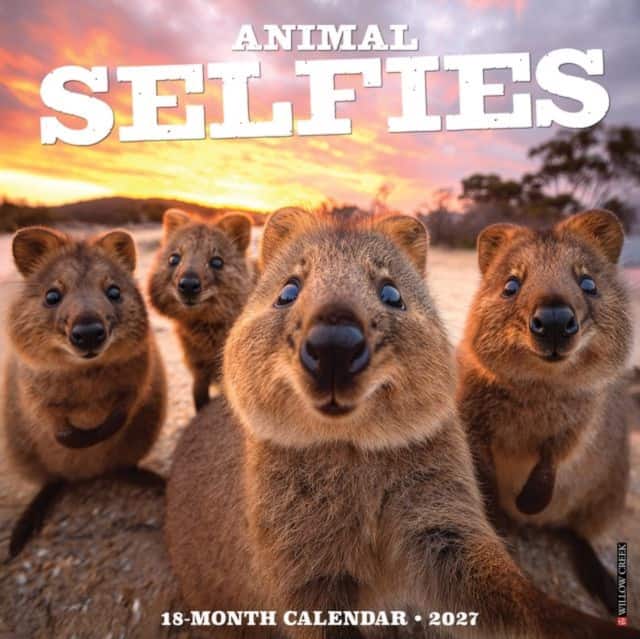 Animal Selfies 2027 Wall av Willow Creek Press