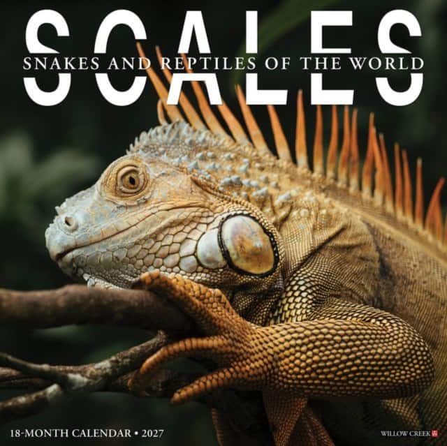 Scales 2027 Wall av Willow Creek Press