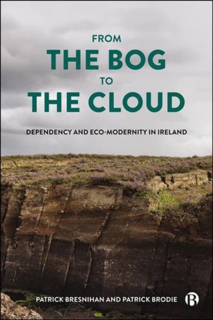 From the Bog to the Cloud – Dependency and Eco–Modernity in Ireland