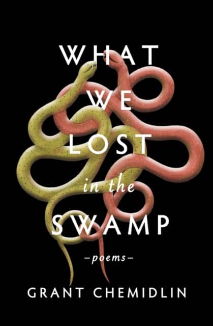 What We Lost in the Swamp av Grant Chemidlin