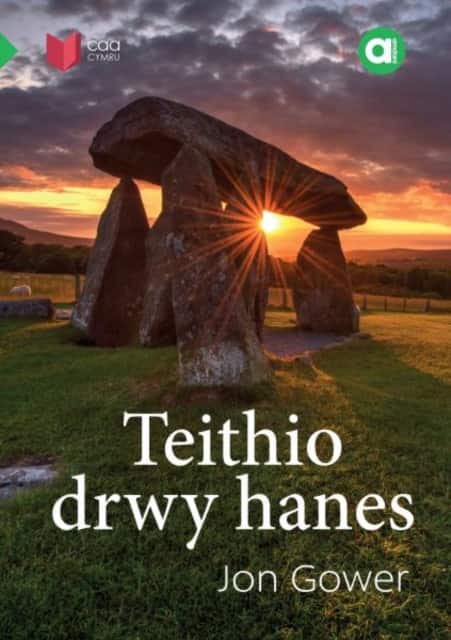 Cyfres Amdani: Teithio drwy Hanes av Jon Gower