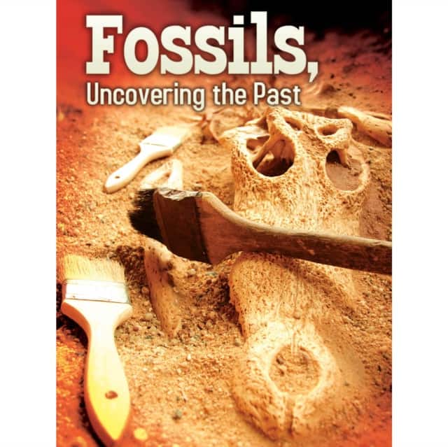 Fossils av Tom Greve