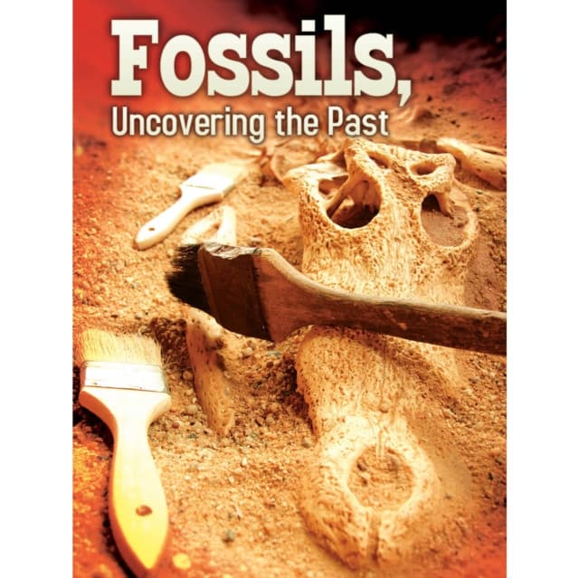 Fossils