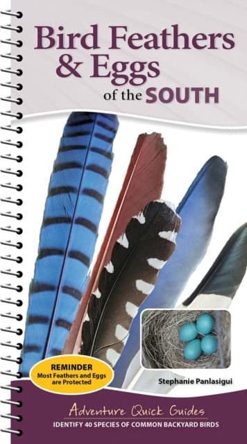Bird Feathers & Eggs of the South