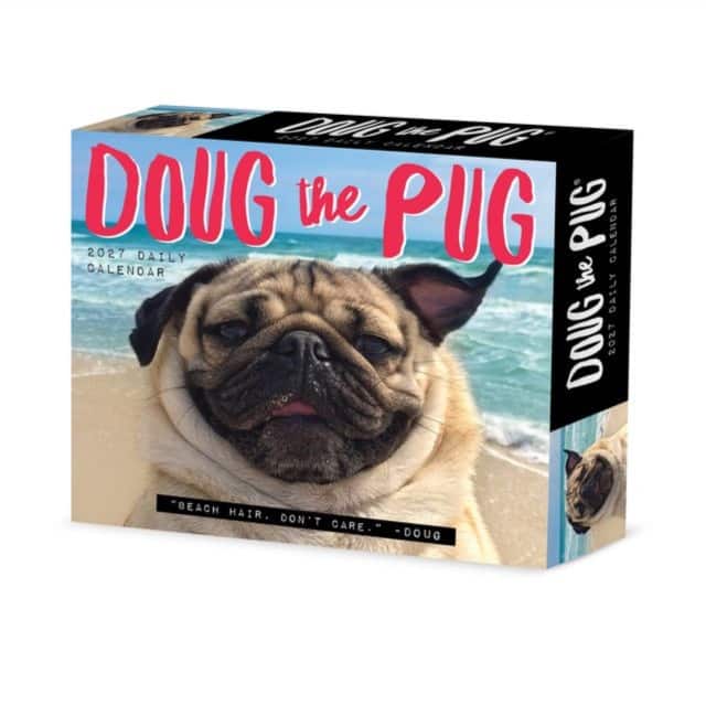 Doug the Pug 2027 Box av Willow Creek Press