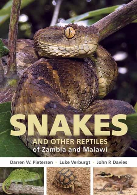 Snakes and Other Reptiles of Zambia and Malawi av Darren W. Pietersen