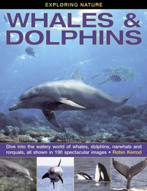 Exploring Nature: Whales & Dolphins av Robin Kerrod