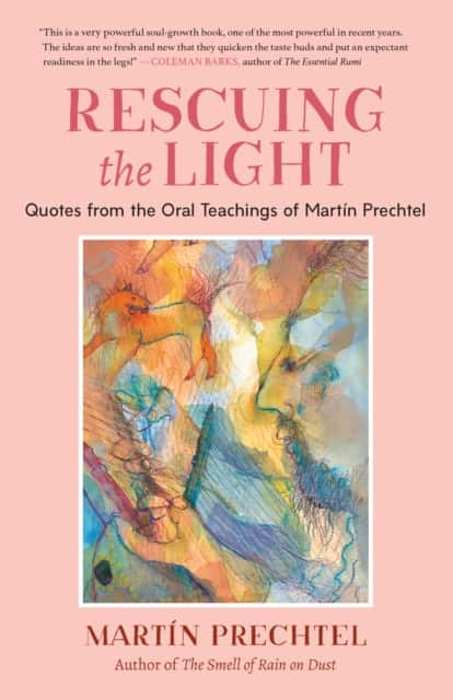 Rescuing the Light av Martín Prechtel