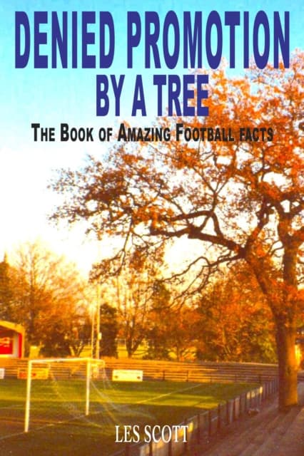 Denied Promotion By A Tree