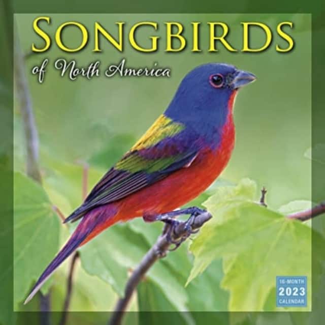 SONGBIRDS OF NORTH AMERICA av SELLERS PUBLISHING