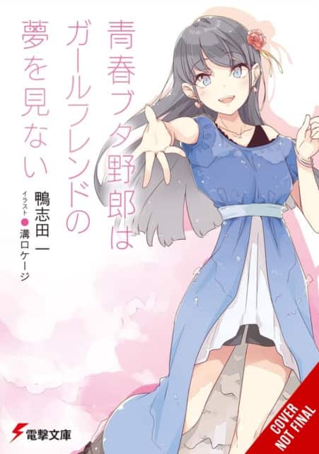 Rascal Does Not Dream of His Girlfriend (light novel) av Andrew Cunningham