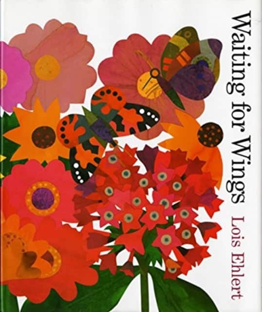 Waiting for Wings av Lois Ehlert
