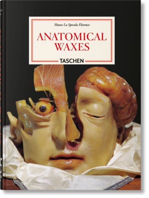 Anatomical Waxes. 45th Ed.