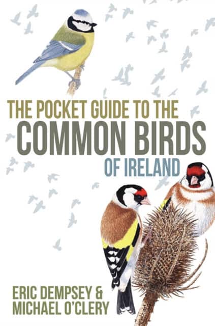 The Pocket Guide to the Common Birds of Ireland av Eric Dempsey